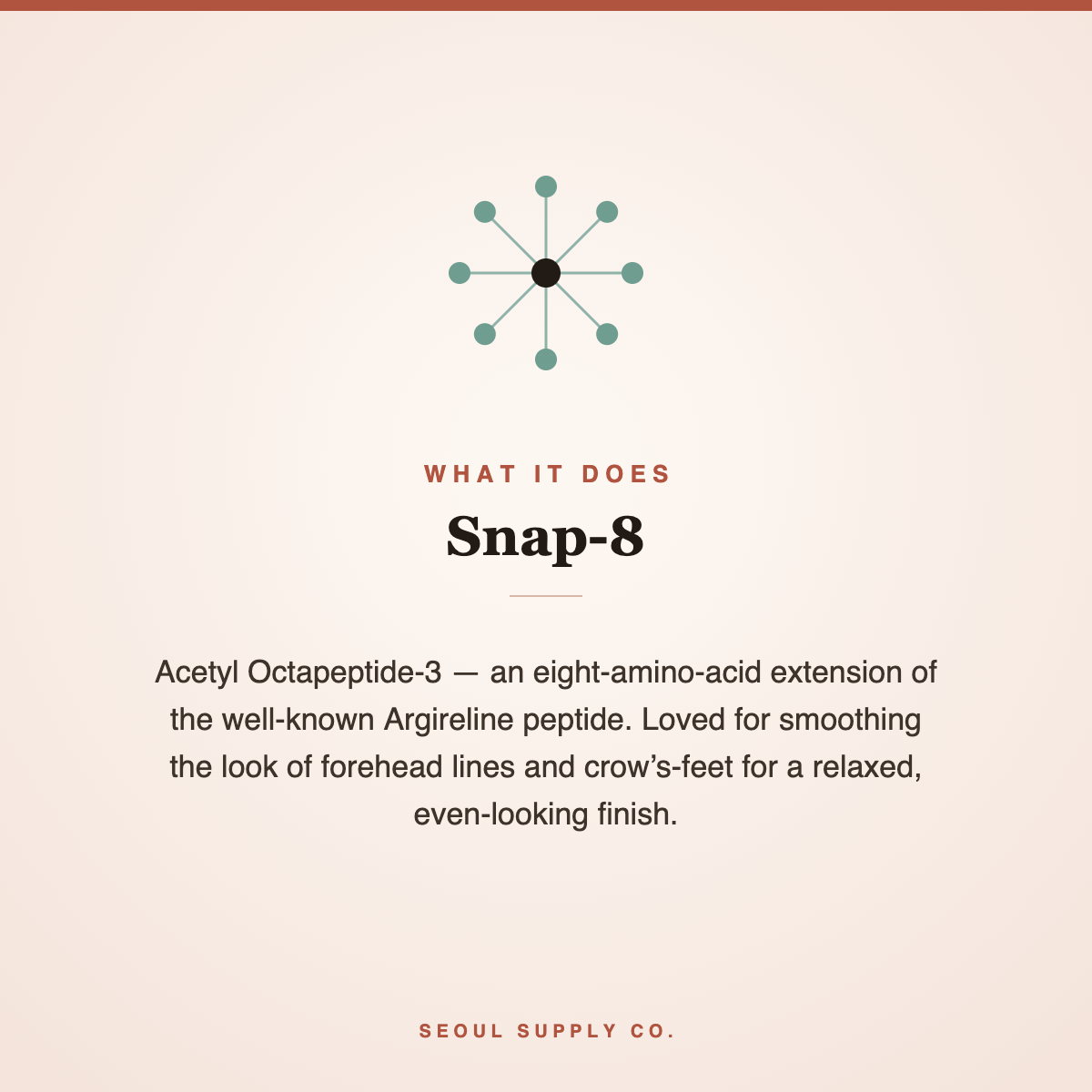 Snap-8 Acetyl Octapeptide-3 benefits description for smoother-looking lines